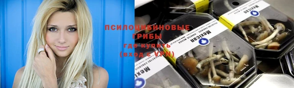 стаф Волоколамск