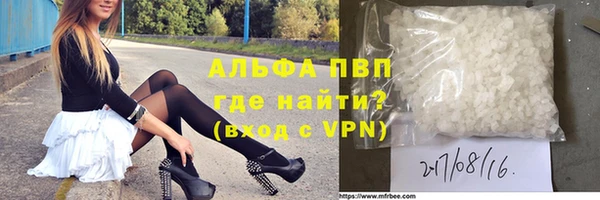 стаф Волоколамск