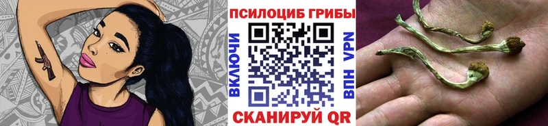 Галлюциногенные грибы Psilocybine cubensis Островной